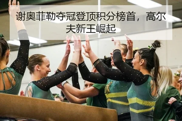 xie-ao-fei-lei-duo-guan-deng-ding-ji-fen-bang-shou-gao-er-fu-xin-wang-jue-qi-2-554.jpg