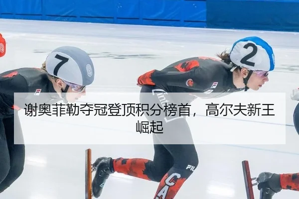 xie-ao-fei-lei-duo-guan-deng-ding-ji-fen-bang-shou-gao-er-fu-xin-wang-jue-qi-3-432.jpg