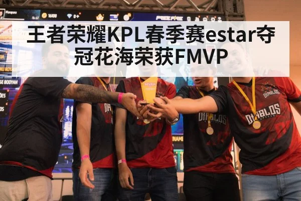 王者荣耀KPL春季赛estar夺冠花海荣获FMVP